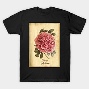 Peony, vintage T-Shirt